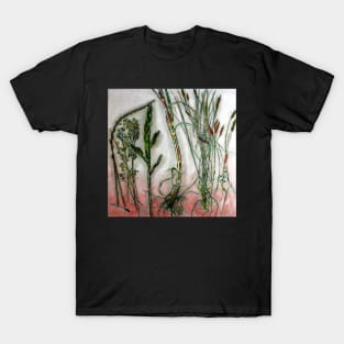 Mornington Peninsula Grasslands 10 T-Shirt